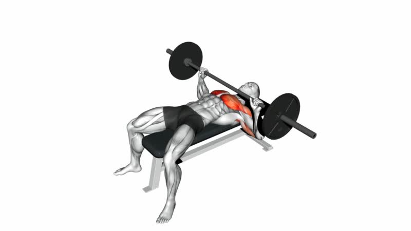 Demonstration of the barbell bench press